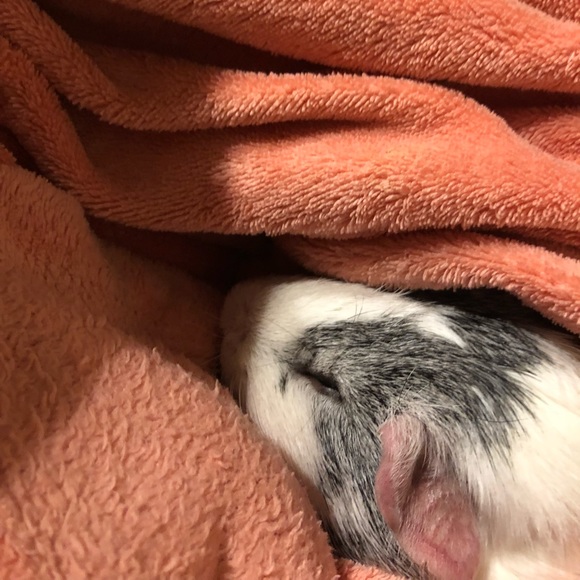 Hi! I’m Isabel. I’m a young student. - Picture 1 of 1